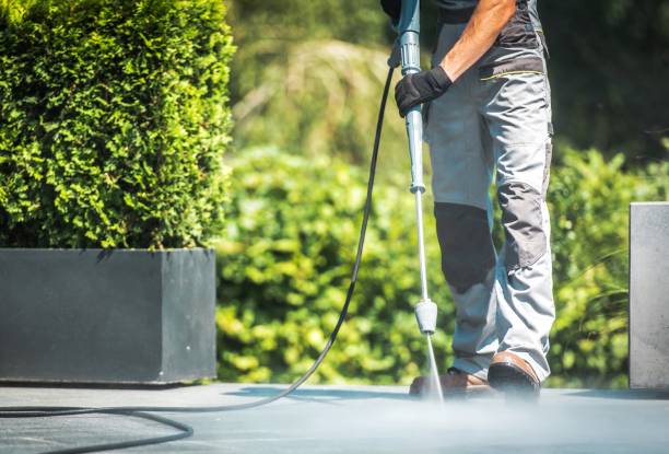 Solar Panel Cleaning in Green Knoll, NJ